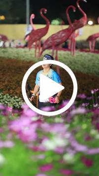 BIB:  <button type="button" onclick="openModal(27589969)" class="btn btn-primary btn-sm float-right" data-toggle="modal" data-target=".modal-high-quality">
                <i class="fa fa-download"></i> Download
                </button>